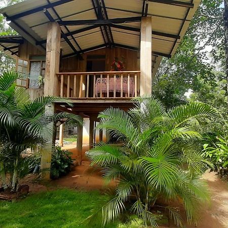 Ruk Sewana Villa Tree House Sigiriya Esterno foto