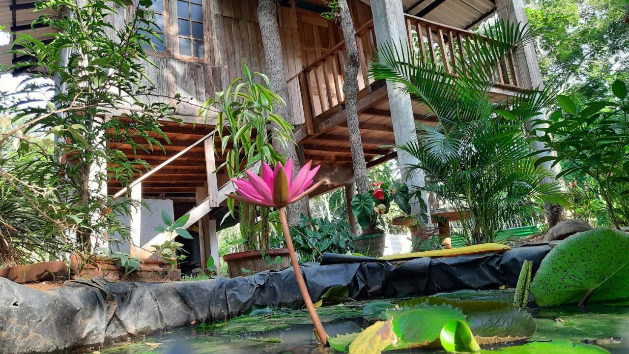 Ruk Sewana Villa Tree House Sigiriya Esterno foto