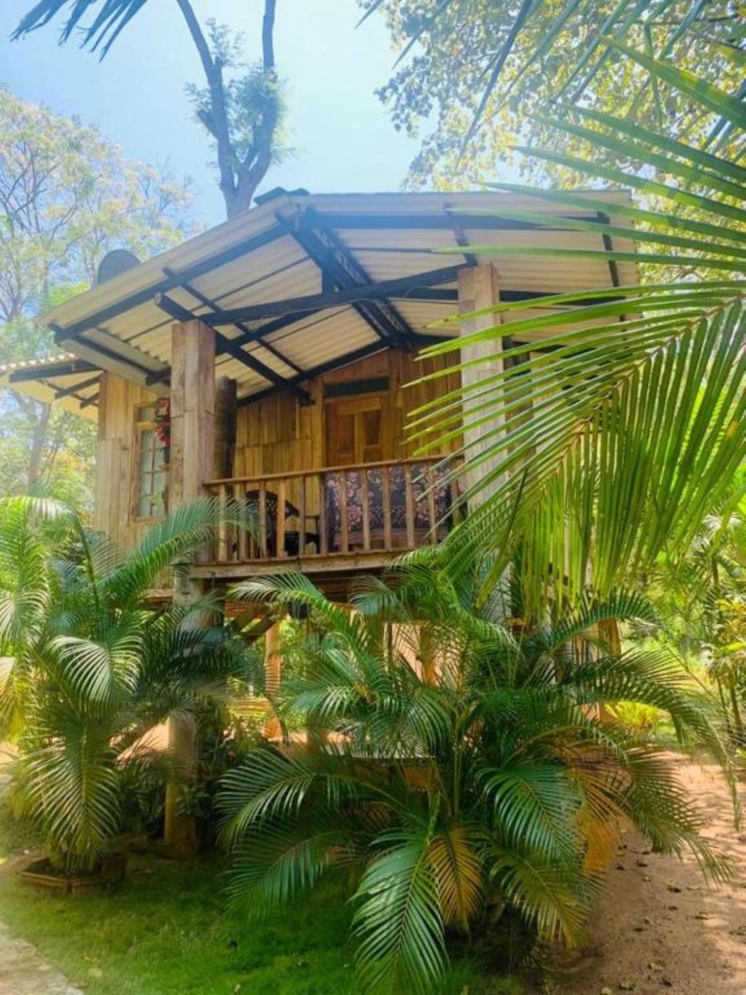 Ruk Sewana Villa Tree House Sigiriya Esterno foto